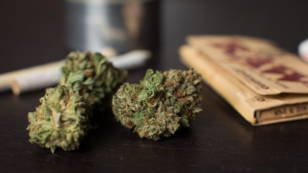 Eckpunktepapier der Bundesregierung zur Einführung einer kontrollierten Abgabe Ein Bild, das im Haus, Cannabis, Marihuana Blüten, Joints, Paper enthält.